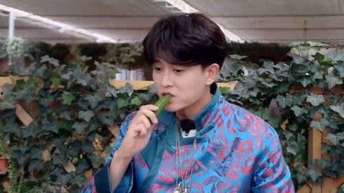 娱乐吃瓜刘宇宁视频大全,笑料百出,精彩纷呈