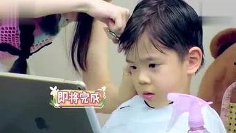 小文文吃瓜说娱乐,揭秘娱乐圈幕后故事