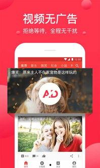 情人节娱乐吃瓜视频下载,娱乐视频下载盘点