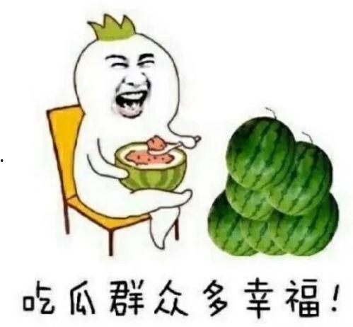 娱乐是个圈不是吃瓜